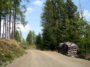 Almweg zur Hütte
