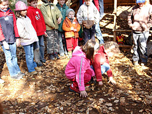 Workshop Waldpädagogik